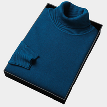Blaine | Heren Winter Turtleneck Trui in Gedurfde Kleuren